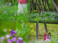 -西湖风景区-江洋畈生态公园