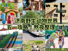 -济南野生动物世界