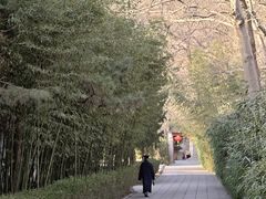 -青岛崂山太清宫