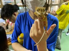 -藦茜花园宠物主题亲子互动体验馆(国顺东路店)