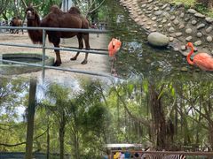 -广东茂名森林公园