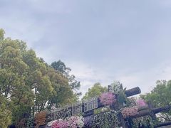 -天目湖山水园