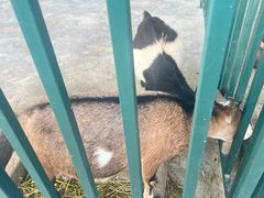 -青岛鑫江温德姆酒店