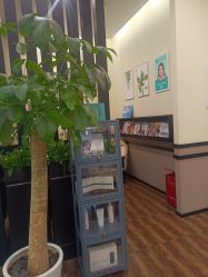 -史云逊养发护发