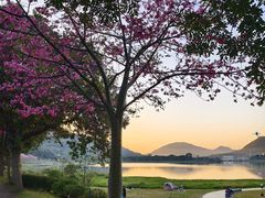-风云岭森林公园