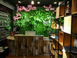 点击看大图 -藤野造型·专业烫染店