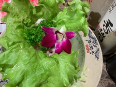 -小龙坎老火锅(金柏林店)