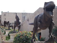 -自贡恐龙博物馆