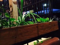 大堂-彼芝奇比萨(红坊店)