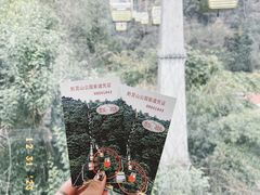 -黔灵山公园