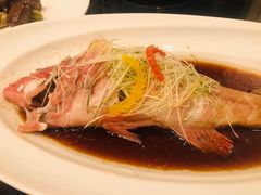 -上海小南国(国会店)