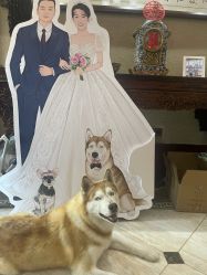 -深白婚纱艺术馆(王府壹号店)