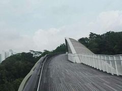 -亨德森波浪桥