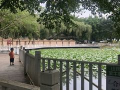 -巴山一绝烤全羊(三圣乡刘家花园店)
