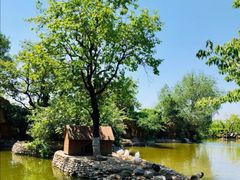 -静之湖湖畔餐厅