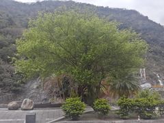 -太鲁阁公园