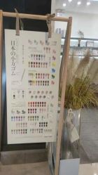 -MONICABOX美甲美睫