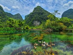 -靖西鹅泉风景区