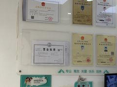 -瑞派天使宠物医院·神经外科·骨科·核磁CT(洛川中路店)