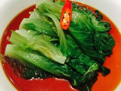 荷兰生菜-贴阁碧(百丈东路店)