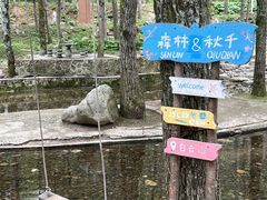 -洛阳白云山景区