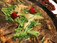 -老板恋上鱼(印象城店)