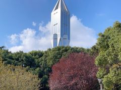 -上海明天广场JW万豪酒店