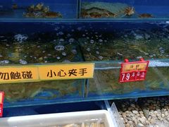 水产区-京深海鲜市场(光彩路店)