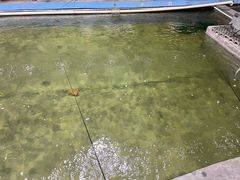 -光头佬钓虾场·烧烤·聚餐·亲子(金沙洲店)