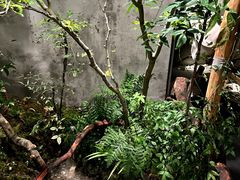 -森SPA·泰式按摩·精油Massage(宝安中心店)
