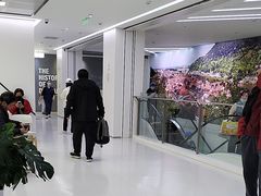 -极简口腔(总院)