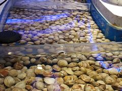 -澜悦港海鲜体验主题餐厅