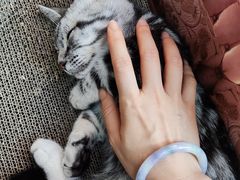 -猫咪派对(江南西店)