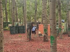 -朝阳公园真人CS