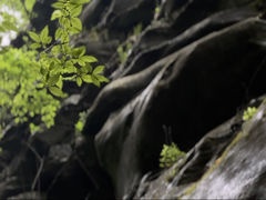 -黑河国家森林公园