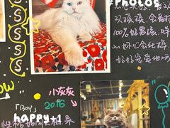 -小时光咖啡馆(开森度假森林店)