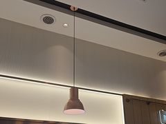 -老板恋上鱼(印象城店)