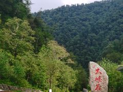 -凤凰山国家森林公园