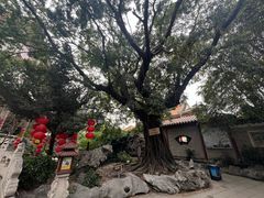 -东江渔村·古典园林·30年粤菜老字号(太和店)