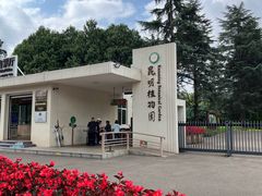 -昆明植物园