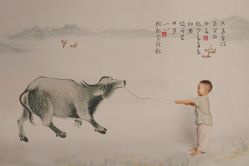 -拾光盒子儿童摄影(别墅店)