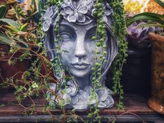 -双季花艺园艺市场(浦东店)