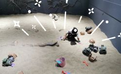 -恐龙探索乐园(磁器口店)