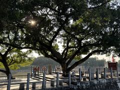 -黄埔古港