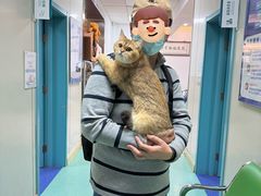 -北京观赏动物医院·24小时大型综合·猫专科·异宠专科
