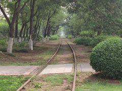 -永定河休闲森林公园