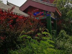 -天津妈祖文化园