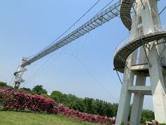 -武汉紫薇都市田园