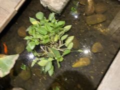 -邈墨茶馆(大兜路1号店)