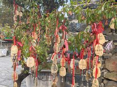 -丽江玉水寨